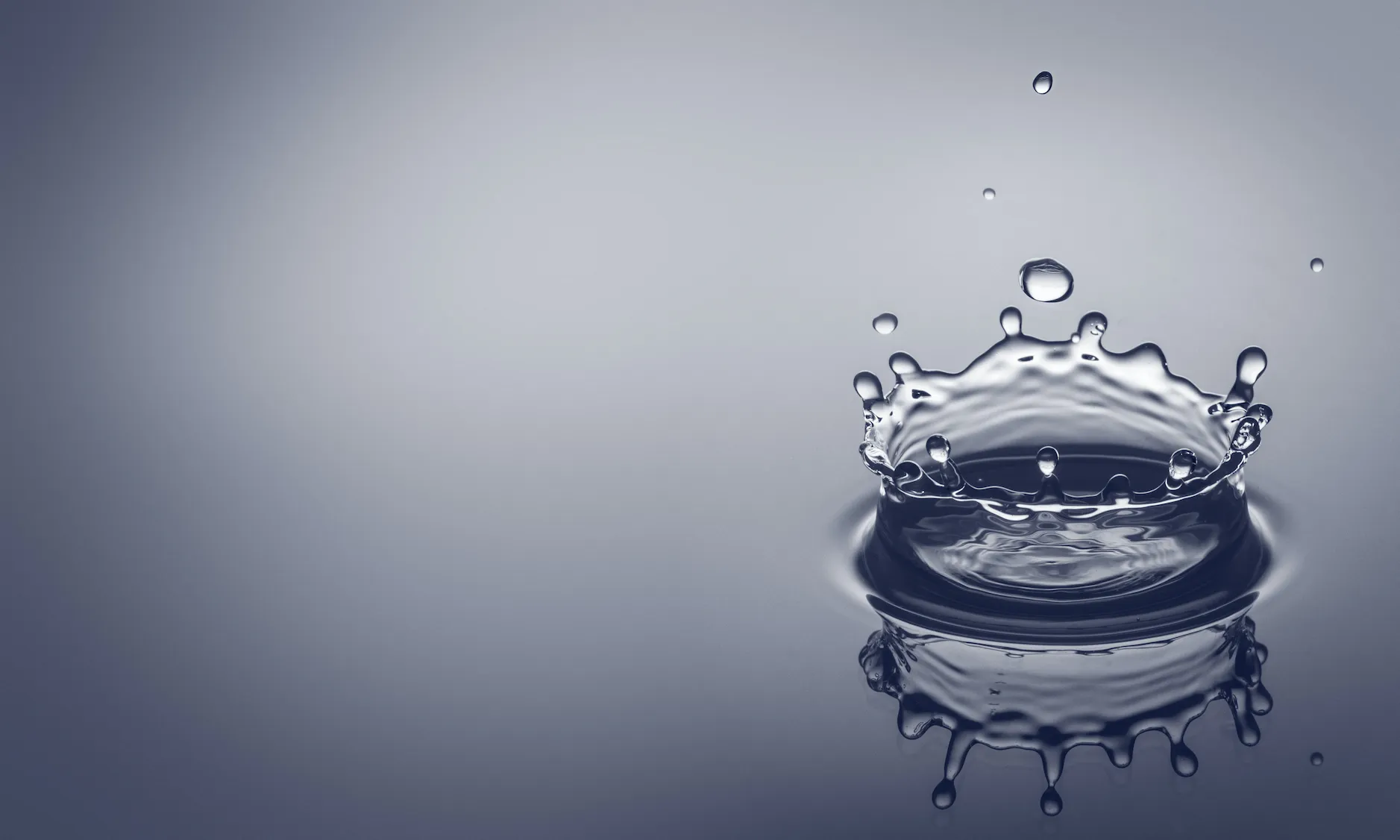 Chemical Composition of Brewing Water: TDS(Total Dissolved Solids)